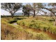 Mudgee NSW 2850
