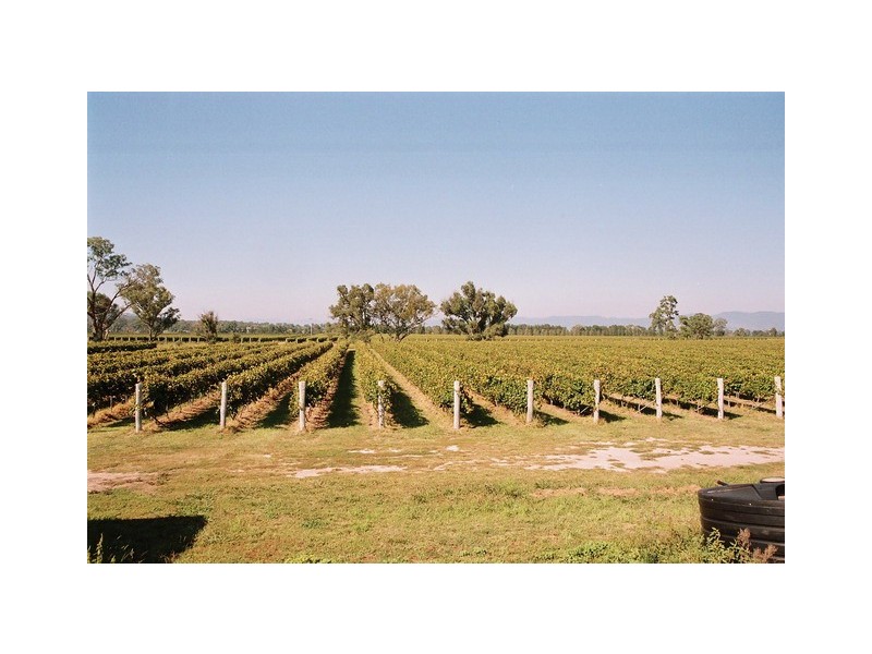 Mudgee NSW 2850