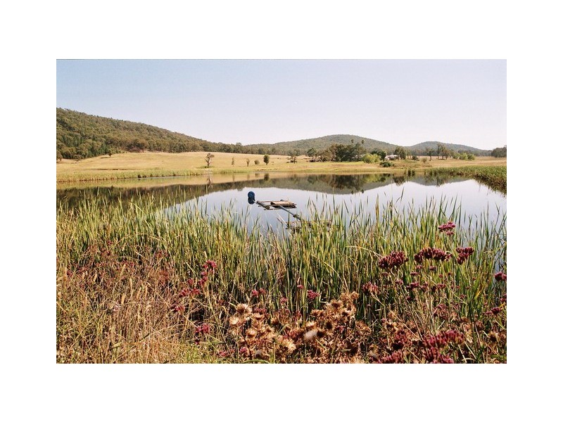 Mudgee NSW 2850