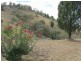 Mudgee NSW 2850