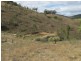 Mudgee NSW 2850