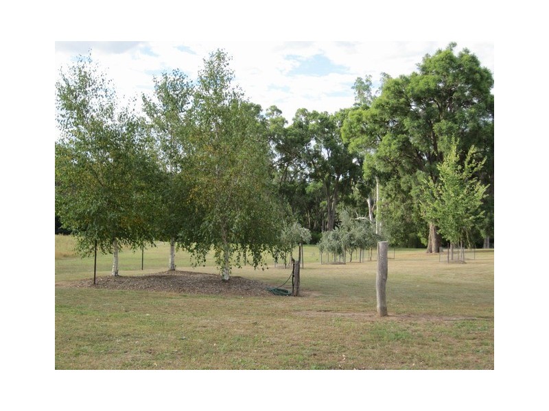 285 Botobolar Road, Mudgee NSW 2850