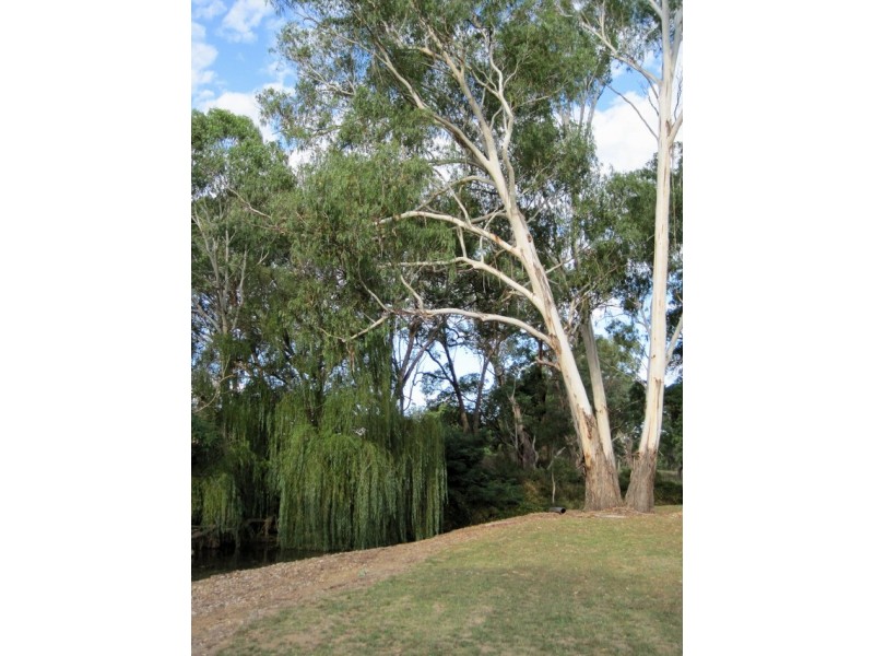 285 Botobolar Road, Mudgee NSW 2850