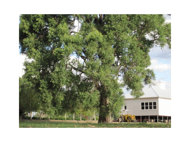 285 Botobolar Road, Mudgee NSW 2850