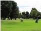 Gulgong NSW 2852