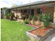 Gulgong NSW 2852