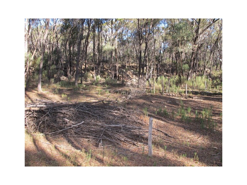 Mudgee NSW 2850