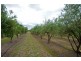 301 Stoney Creek Road, Mudgee NSW 2850