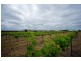 301 Stoney Creek Road, Mudgee NSW 2850