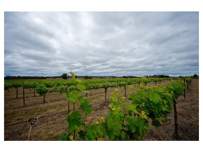 301 Stoney Creek Road, Mudgee NSW 2850