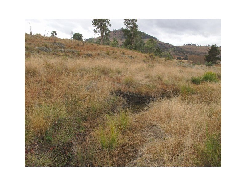 Mudgee NSW 2850
