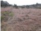 Mudgee NSW 2850
