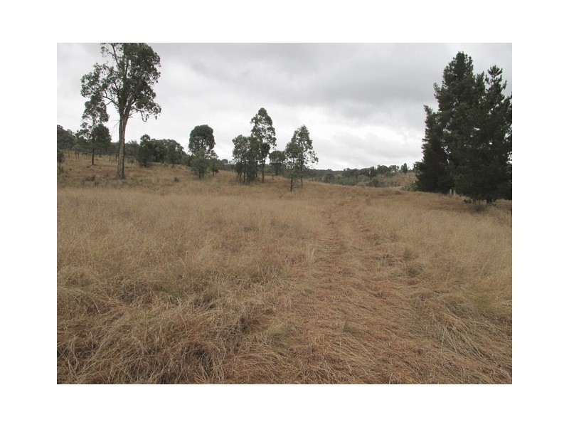 Mudgee NSW 2850