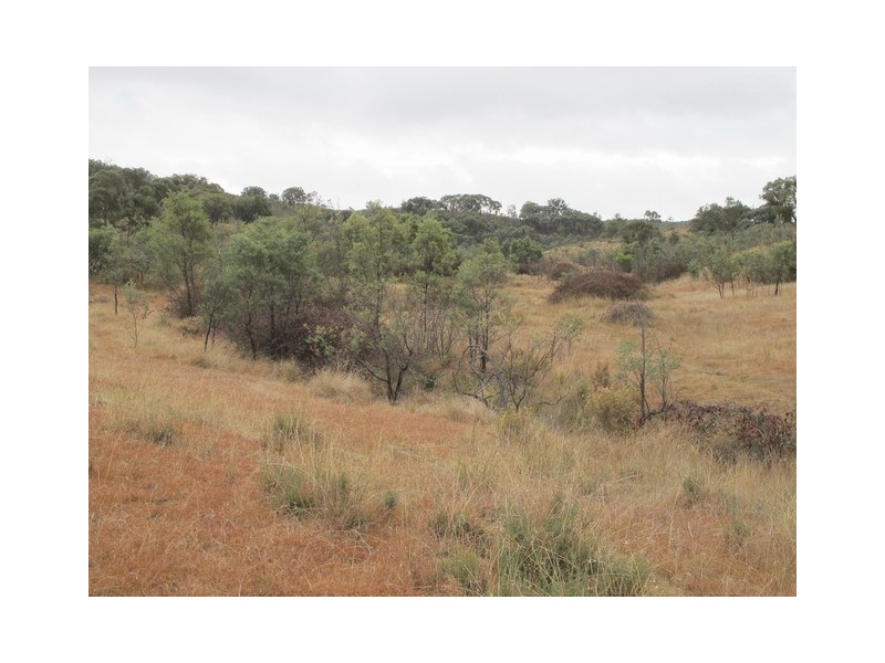 Mudgee NSW 2850