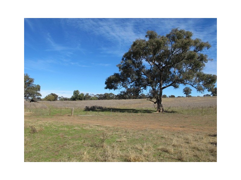 35 Gollan Road, Mudgee NSW 2850