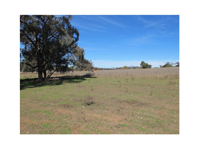 35 Gollan Road, Mudgee NSW 2850