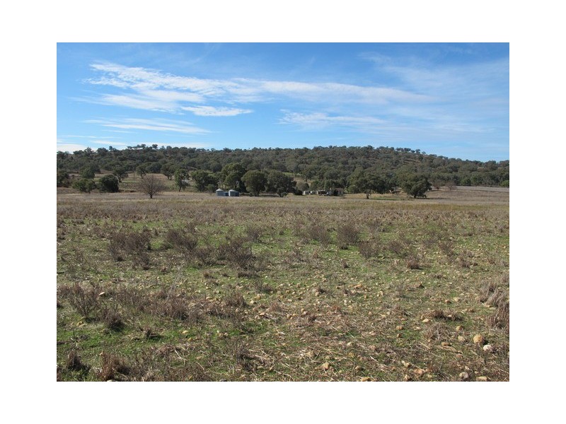 35 Gollan Road, Mudgee NSW 2850