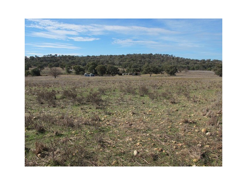 35 Gollan Road, Mudgee NSW 2850