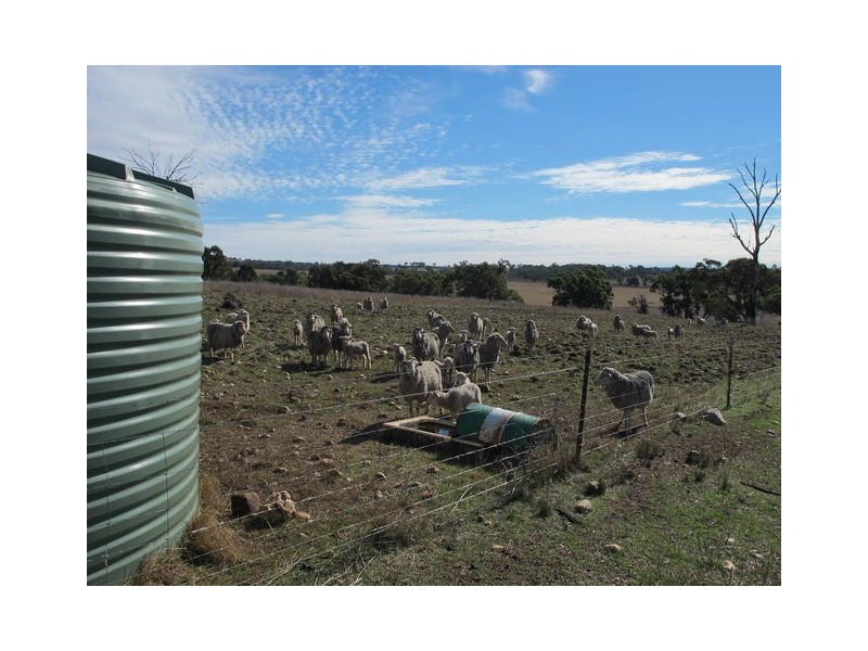 35 Gollan Road, Mudgee NSW 2850