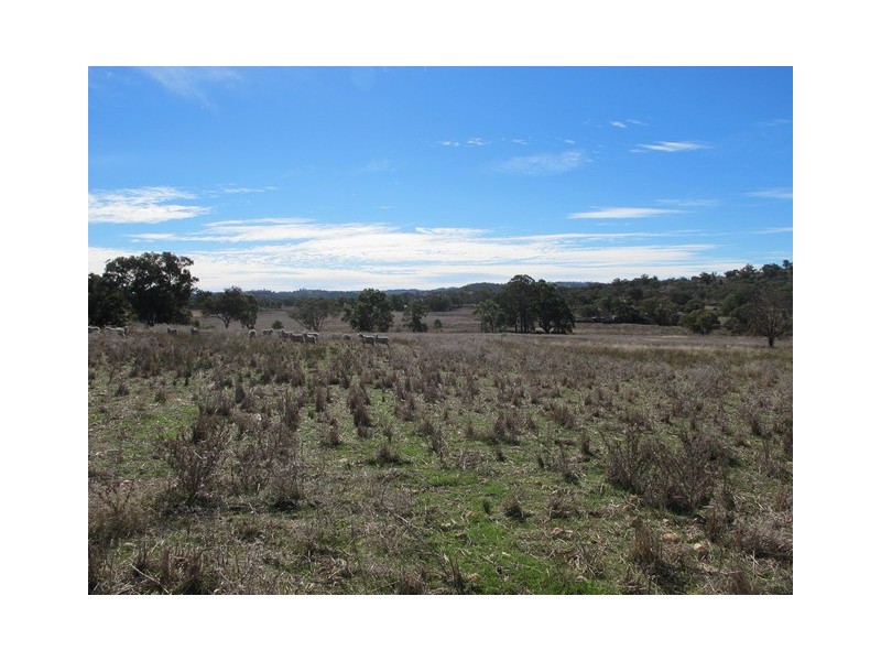 35 Gollan Road, Mudgee NSW 2850