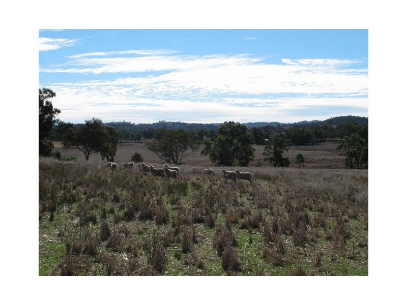 35 Gollan Road, Mudgee NSW 2850