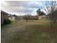 Mudgee NSW 2850