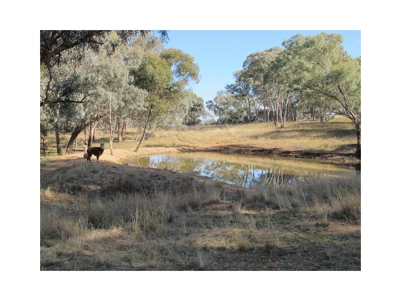 Mudgee NSW 2850