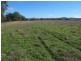 Mudgee NSW 2850