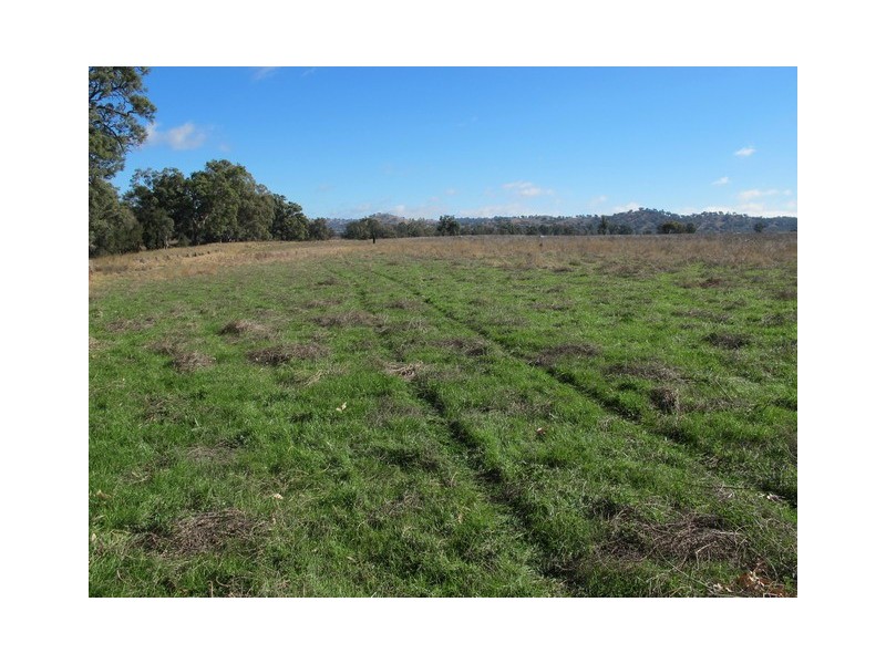Mudgee NSW 2850