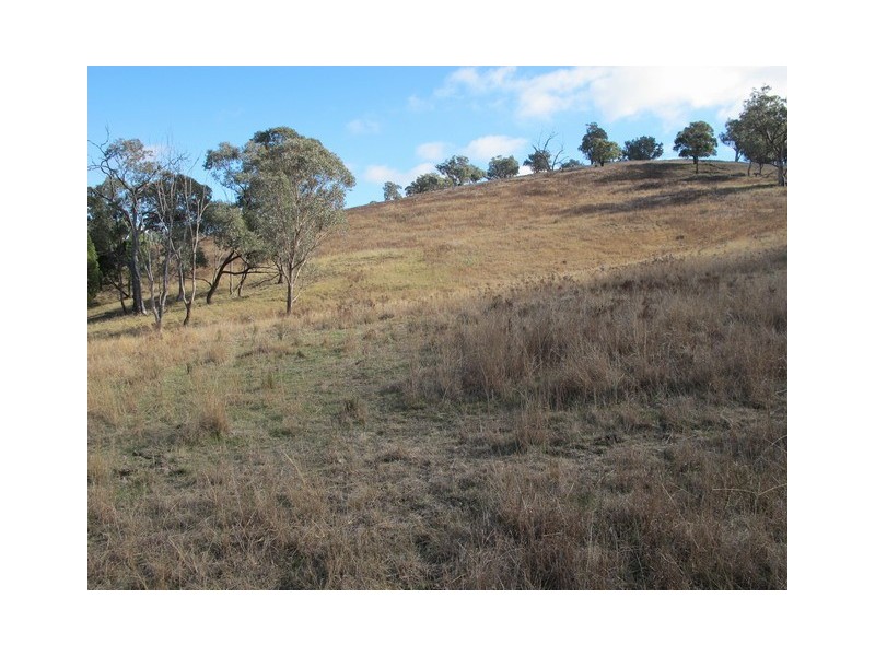 Mudgee NSW 2850