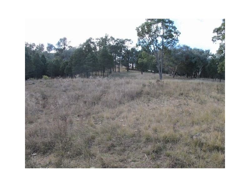 Mudgee NSW 2850