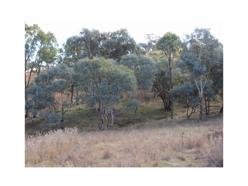 Mudgee NSW 2850