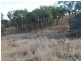 Mudgee NSW 2850