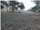 Mudgee NSW 2850