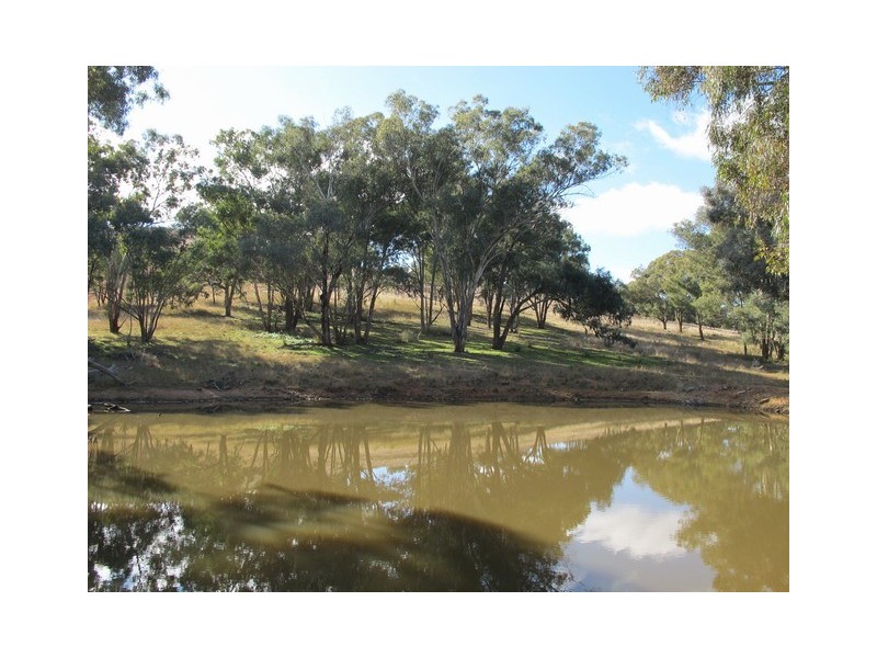Mudgee NSW 2850