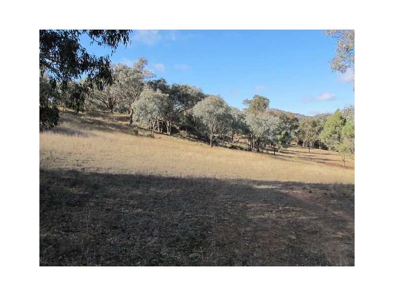 Mudgee NSW 2850
