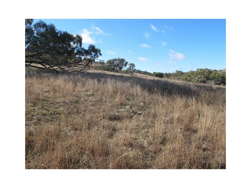 Mudgee NSW 2850