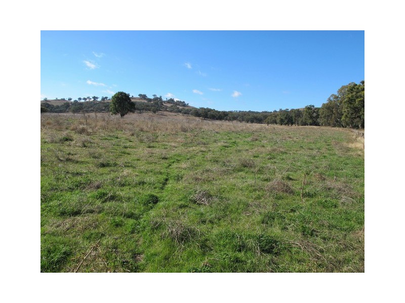 Mudgee NSW 2850