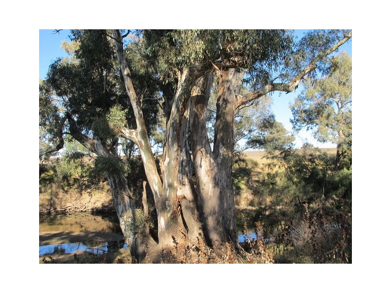 Mudgee NSW 2850