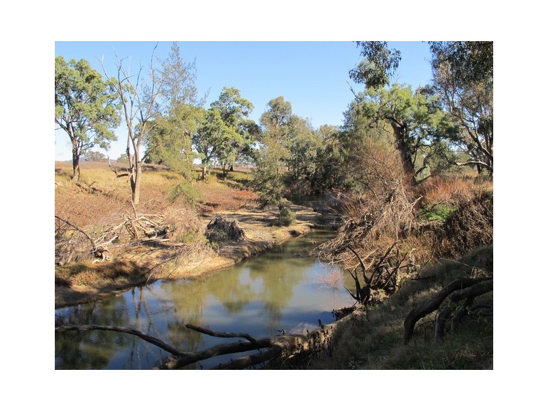 Mudgee NSW 2850