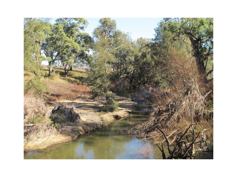 Mudgee NSW 2850