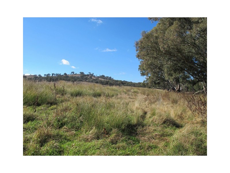 Mudgee NSW 2850