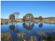 Mudgee NSW 2850