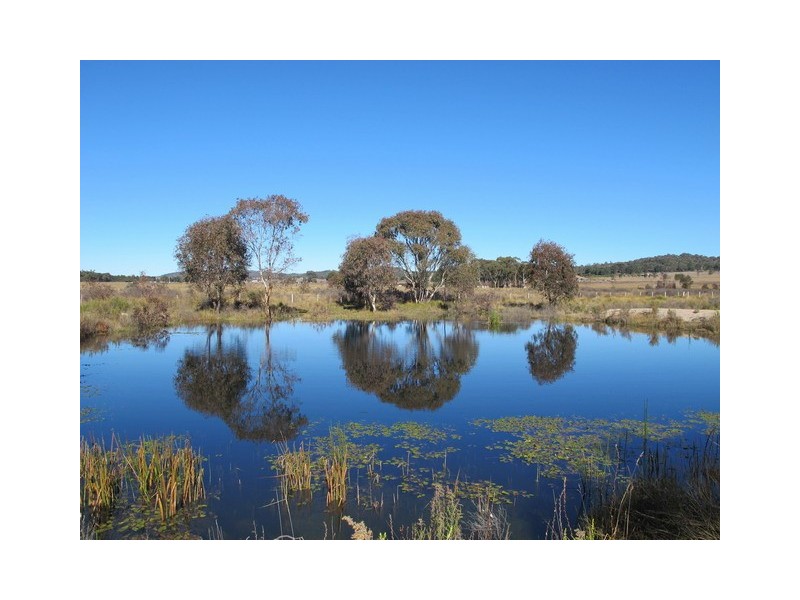 Mudgee NSW 2850