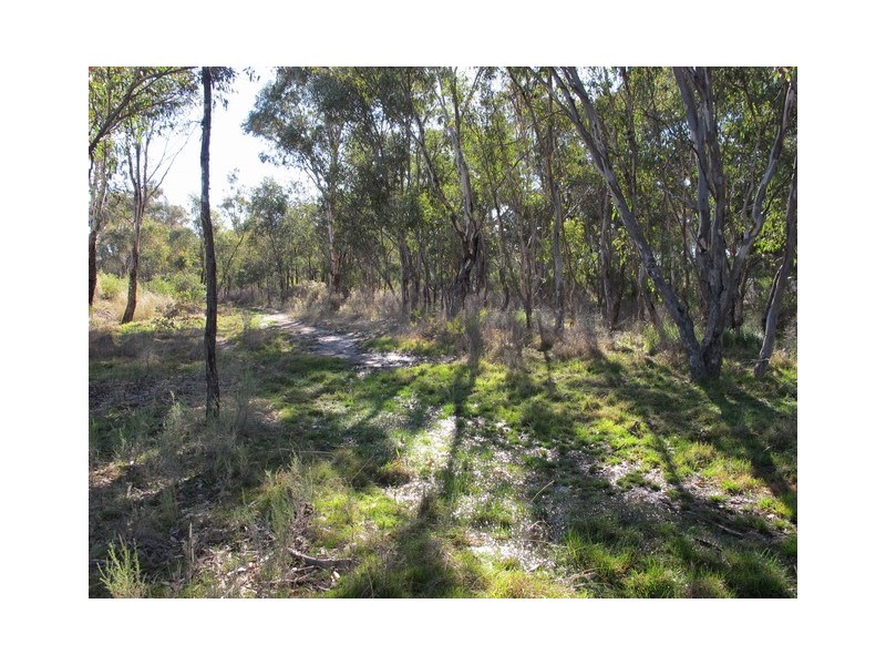 Mudgee NSW 2850