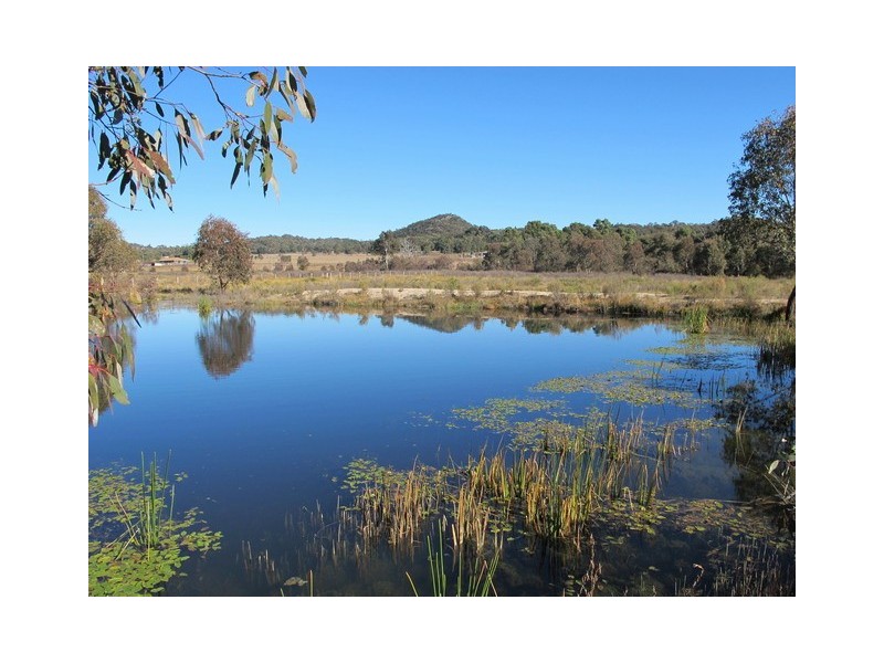 Mudgee NSW 2850