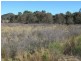Mudgee NSW 2850