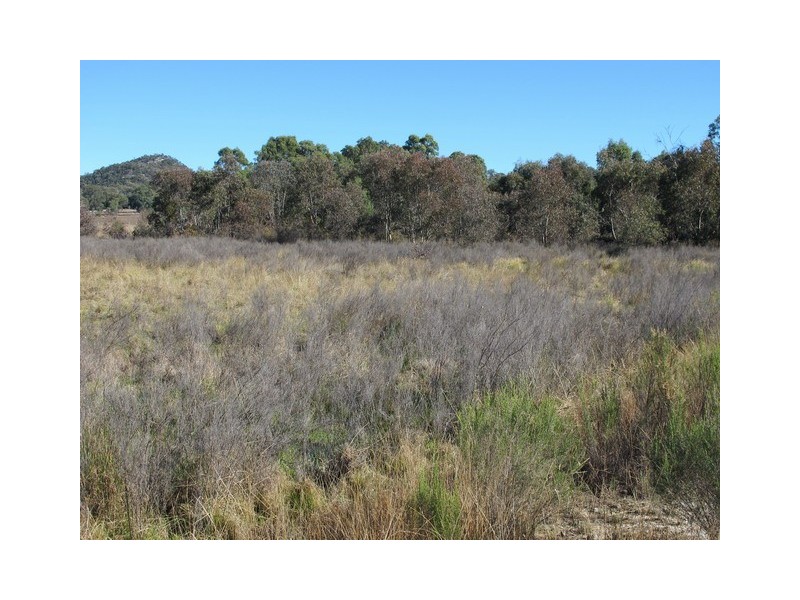 Mudgee NSW 2850