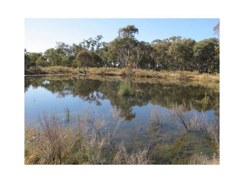 Mudgee NSW 2850