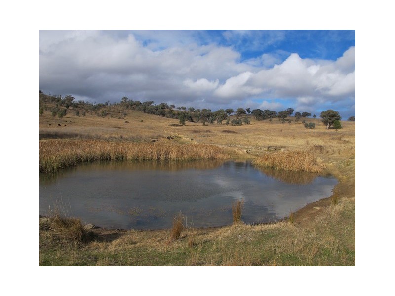 Mudgee NSW 2850